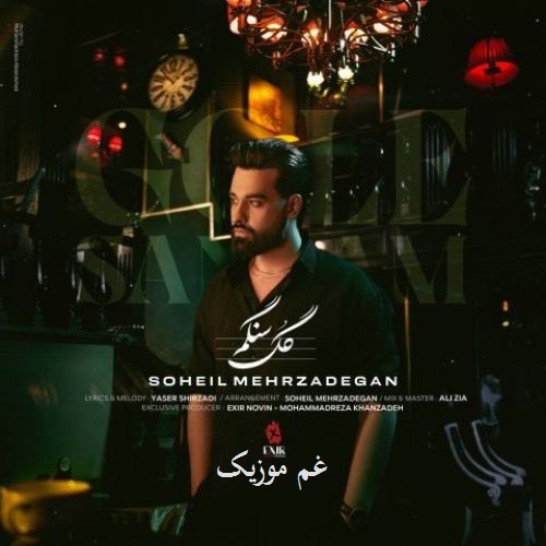 سهیل مهرزادگان آی گل سنگم گل سنگم چی بگم از دل تنگم